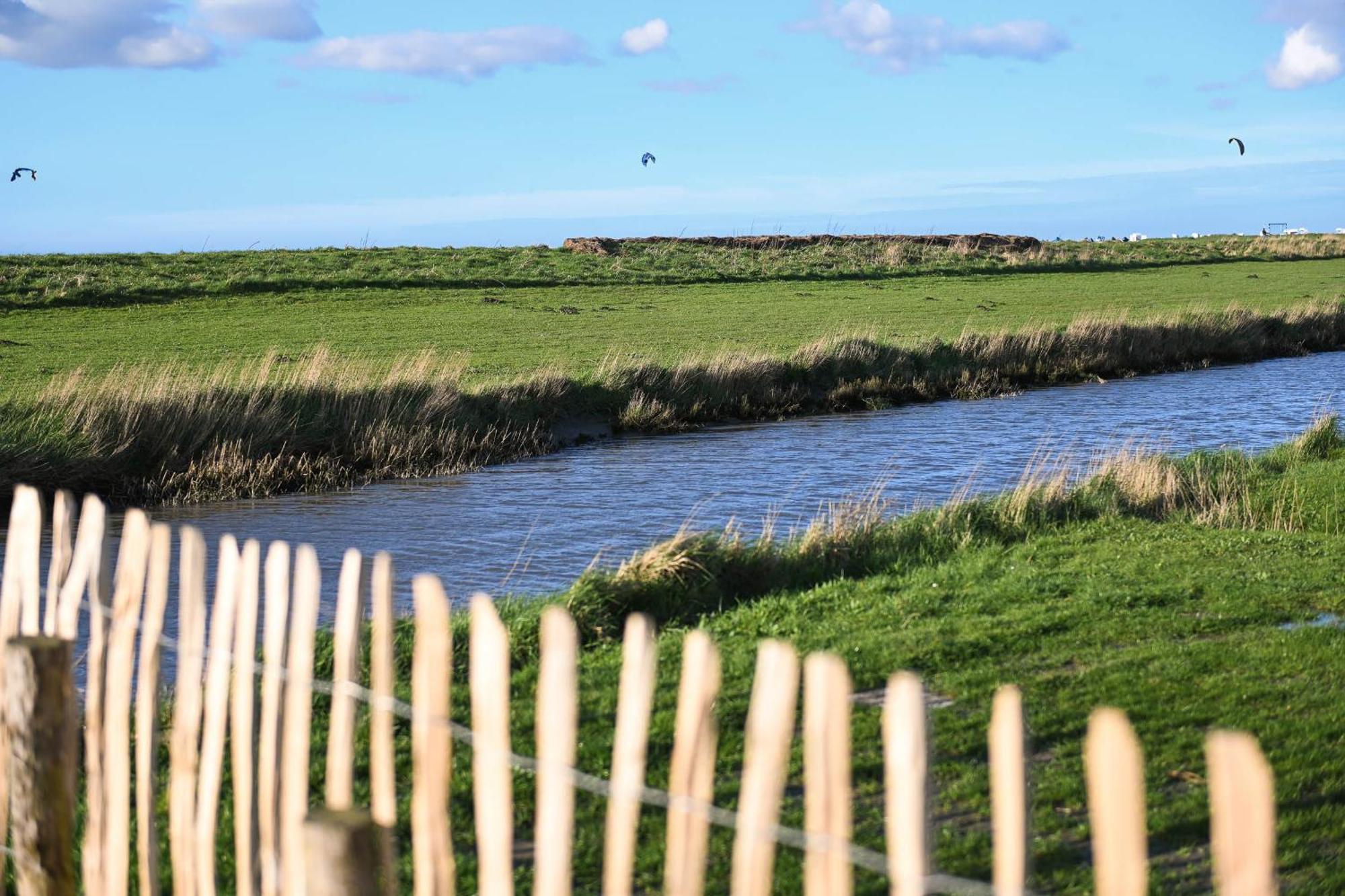 Tiny House Nature 16 Zur Meerseite - Green Tiny Village Harlesiel Carolinensiel Luaran gambar